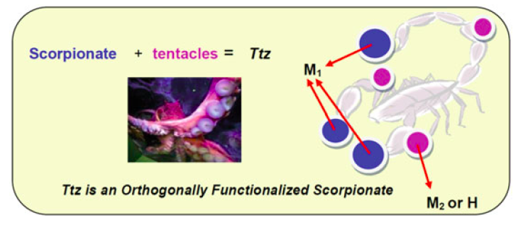 TOC graphic showing scorpionates