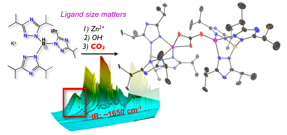 Zn compounds for CO2 activation