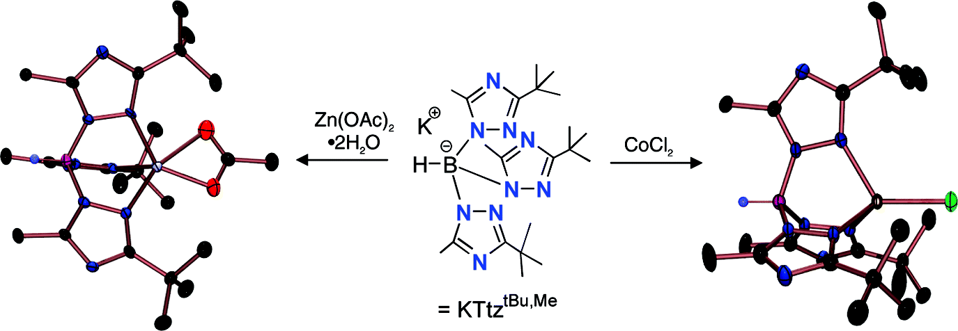 Zinc and cobalt complexes