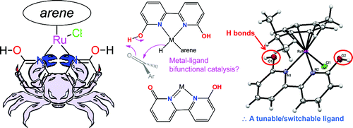 TOC graphic for new dhbp catalysts showing metal ligand bifunctional mechanism