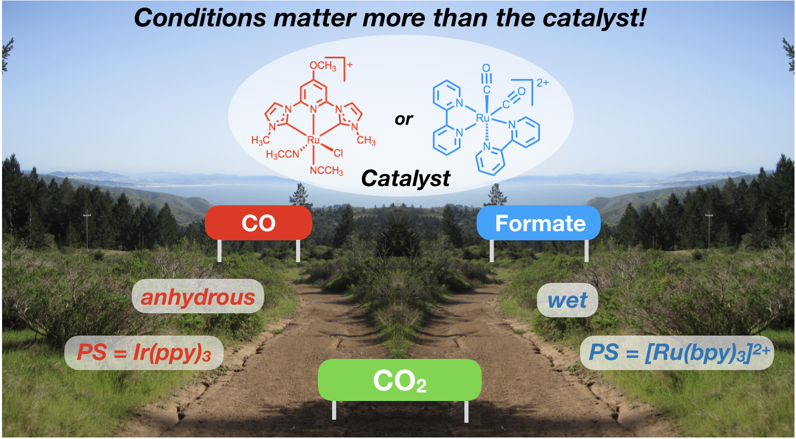 TOC graphic showing two pathways for catalysis